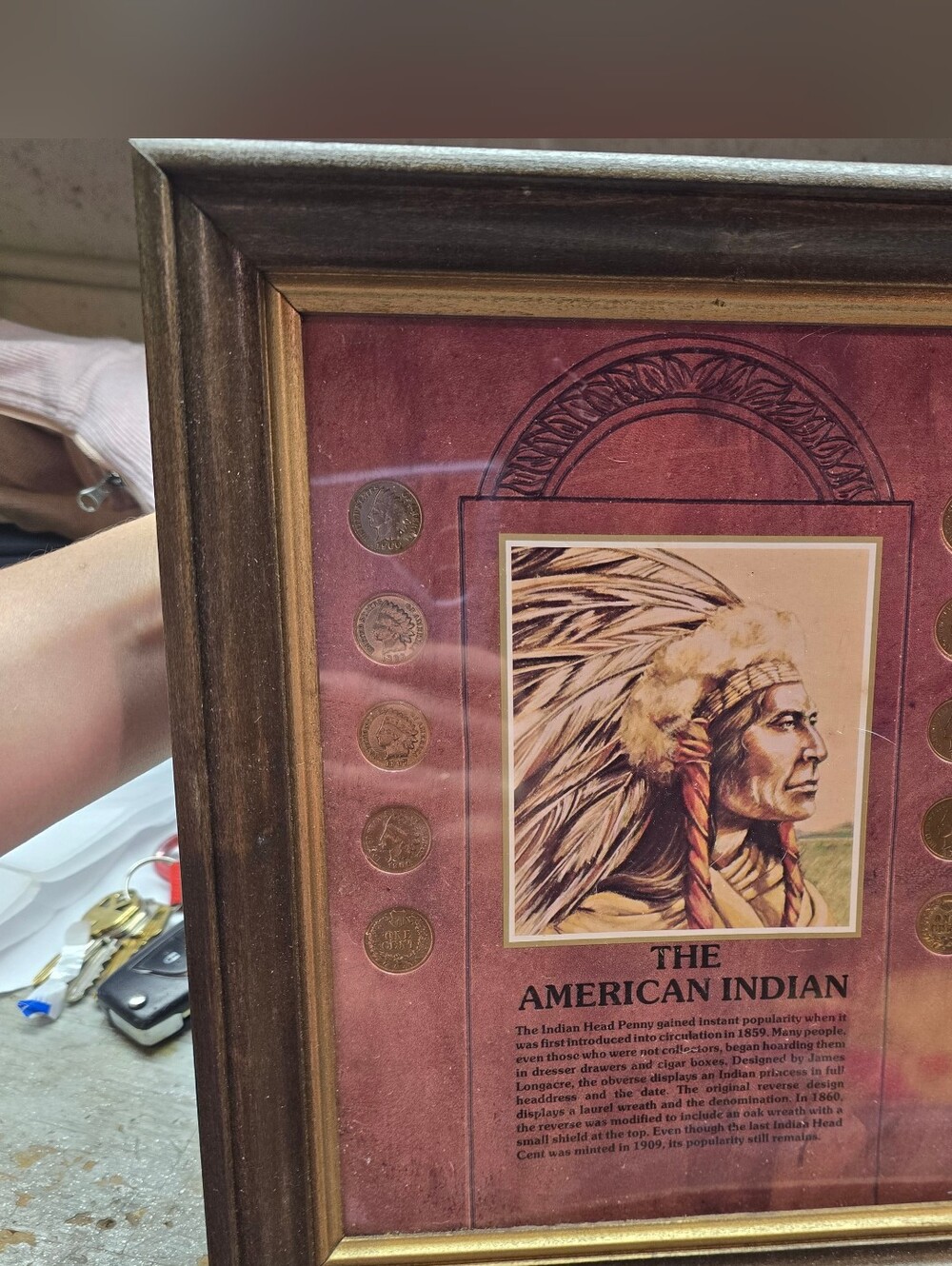 Vintage American Indian Head Pennies Set Framed 10x12